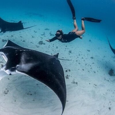 Snorkeling 4 Spot With Manta Bay Or Optional Land Trip