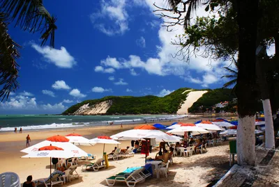 Natal Afternoon City Tour with Fortaleza dos Reis Magos and Sunset at Yacht Clube