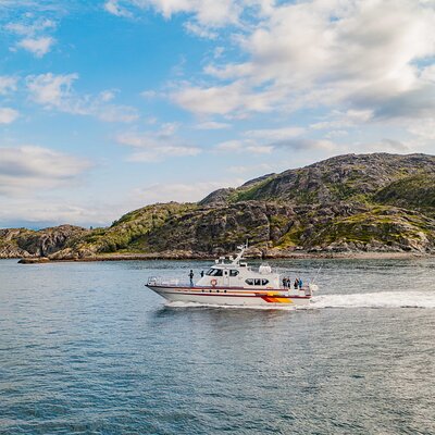Fjord Safari in the Altafjord