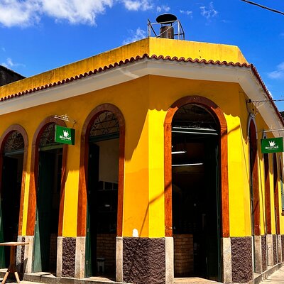 Visit to the King of Coffee