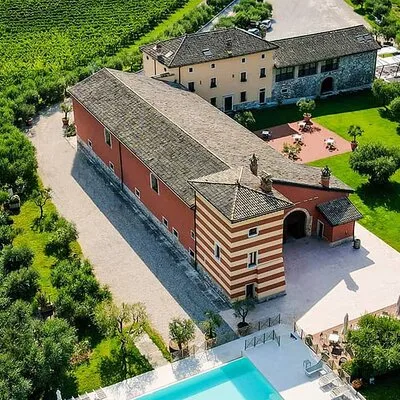 Vineyard tour with tasting of 4 wines on Garda Hills