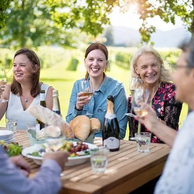 Half-Day Wine Tour from Blenheim