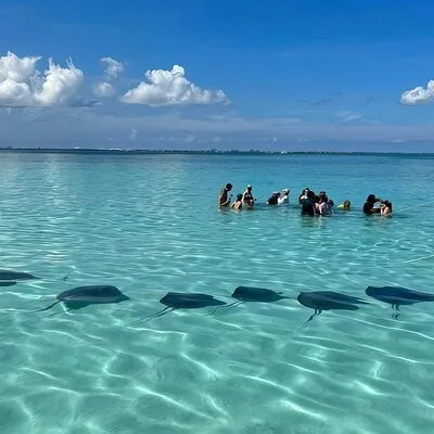 Cayman Ocean Adventures Stingray City & Snorkeling Tour