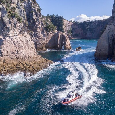 Cathedral Cove Scenic Cruises Whitianga