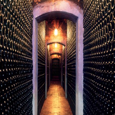 Visit and wine tasting at BODEGA PIRINEOS