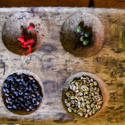 Bean to Cup: Traditional Coffee Preparation in Arusha