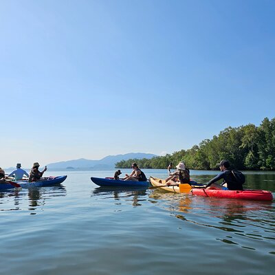 Half Day Mangrove and Lanta Old Town Tour