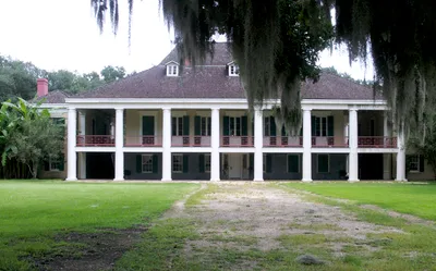 Airboat Swamp and Destrehan Plantation Tour from New Orleans