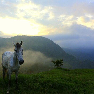 Horse riding tour