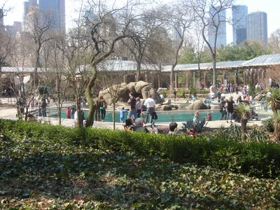 Central Park Zoo Admission Ticket with 4-D Theater Access in New York City