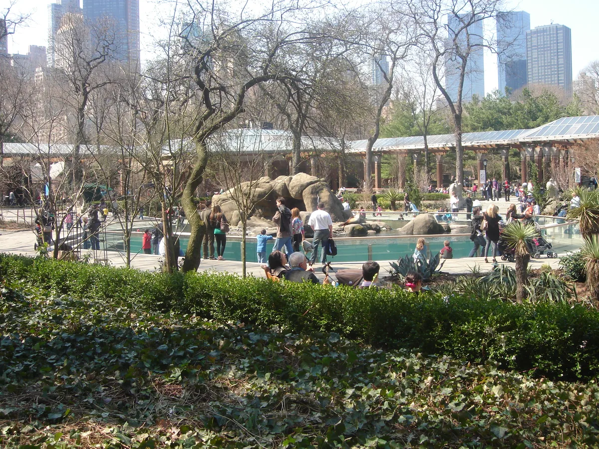 Central Park Zoo Admission Ticket with 4-D Theater Access in New York City
