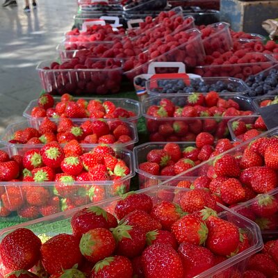 Provençal Farmers market tour