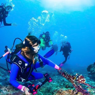 Snorkeling in Talawila St. Anne's Reef