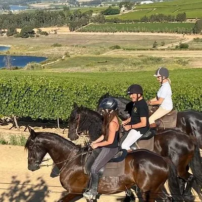 2h – Horse Trail