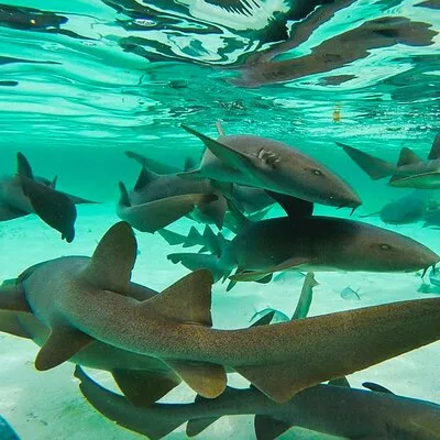 DREAM ADVENTURE MALDIVES