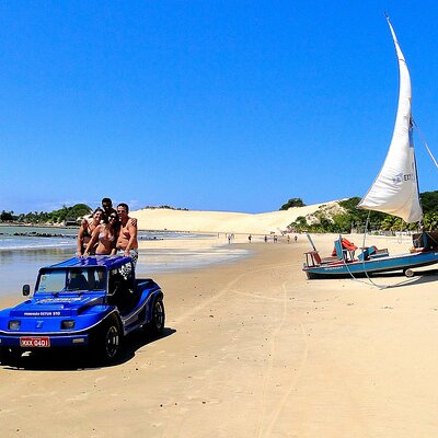 BuggyNatal