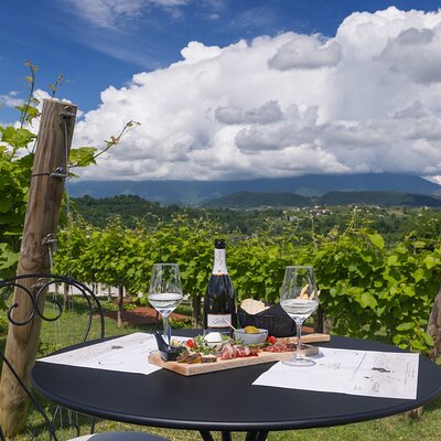 Tour and tasting in the hills of Prosecco Superiore DOCG