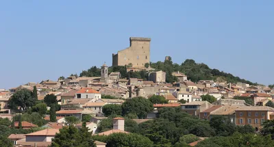 Châteauneuf du Pape Wine Day Tasting Tour including Lunch from Avignon
