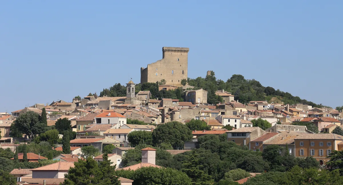 Châteauneuf du Pape Wine Day Tasting Tour including Lunch from Avignon