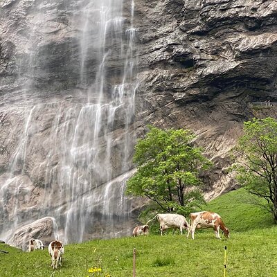 Discover Lauterbrunnen with CHEESE & CHOCOLATE