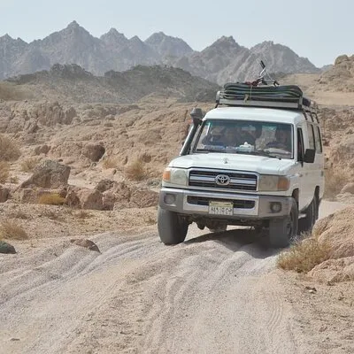 Stargazing safari 5 in 1
