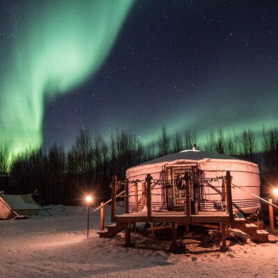 Alaskan Escape: Aurora Viewing & Dog Sledding Adventure Fairbanks
