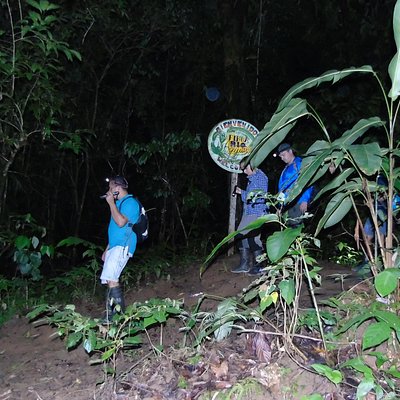 Nativos Corcovado Night Hike in DrakeBay