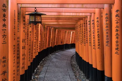 Kyoto Early Bird Walking Tour