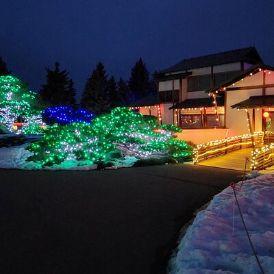 Nikka Yuko Japanese Garden Winter Light Festival