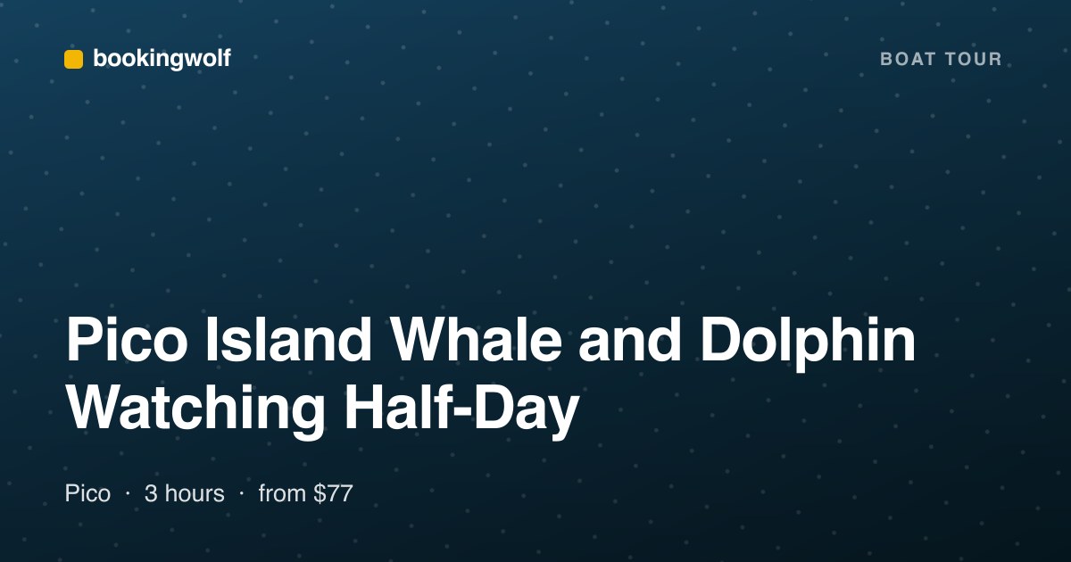Pico Island Whale and Dolphin Watching Half-Day