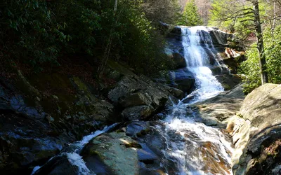 Blue Ridge Parkway Small-Group Guided Jeep Tour in Asheville