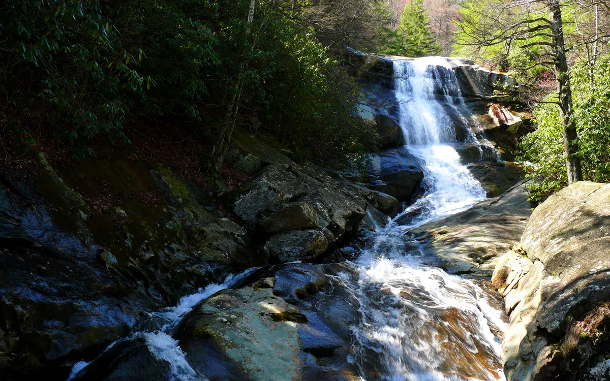 Blue Ridge Parkway Small-Group Guided Jeep Tour in Asheville