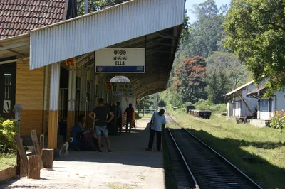 Tea Plantation Tour in Ella, Sri Lanka
