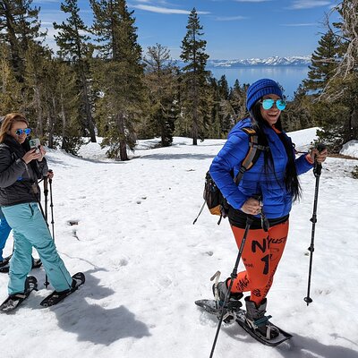 Chickadee Ridge Beginner Snowshoe Activity