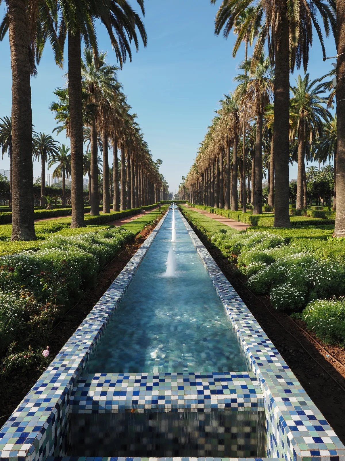Morocco Casablanca 4-Hour Shared Walking Tour with Licensed Guide Including Hassan II Mosque and Mohammed V Square