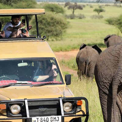 4-Day Astonish Mikumi NP and Ruaha National Park
