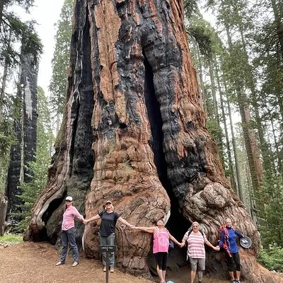 Divine by Nature Experiences
