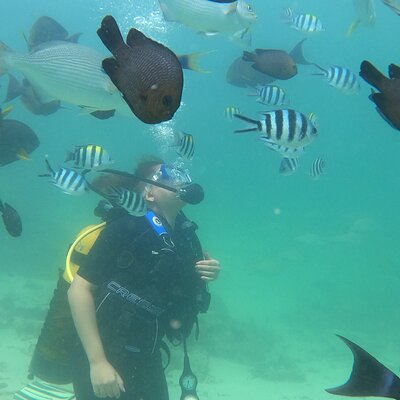 Tropical Diving Kenya