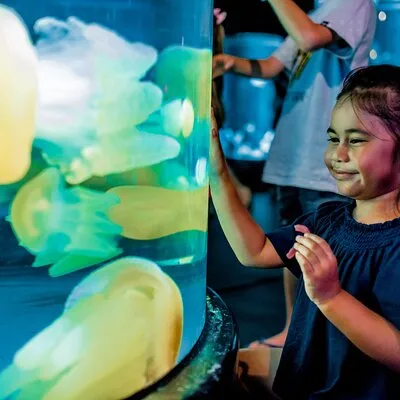 SEA LIFE Sydney Aquarium