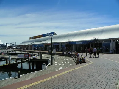 SEA LIFE Sydney Aquarium Entrance Ticket with Penguin Expedition and Shark Valley in Sydney