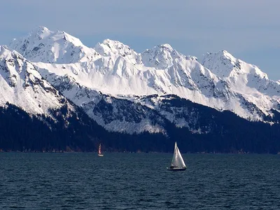 Kenai Fjords National Park Full-Day Northwestern Fjord Cruise