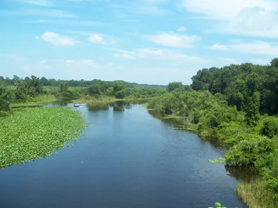 Glass Bottom Kayak Tour of Silver Springs in Orlando
