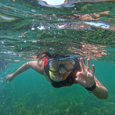 Arrábida Experiences