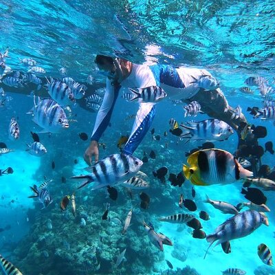 1/2 day Tahaa coral garden - departure Raiatea / ideal for cruise passengers