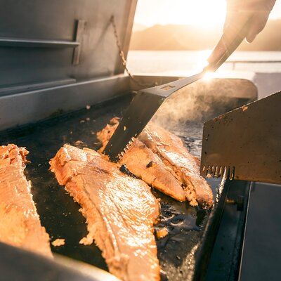 Seafood Odyssea Marlborough Sounds Cruise from Picton
