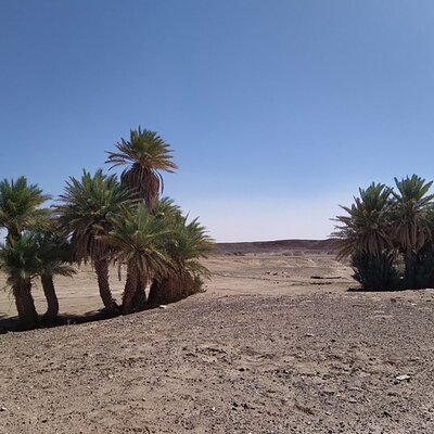 Desert Space Tour