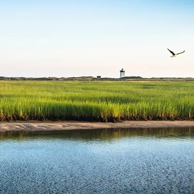 National Seashore Tour with Guided Hike