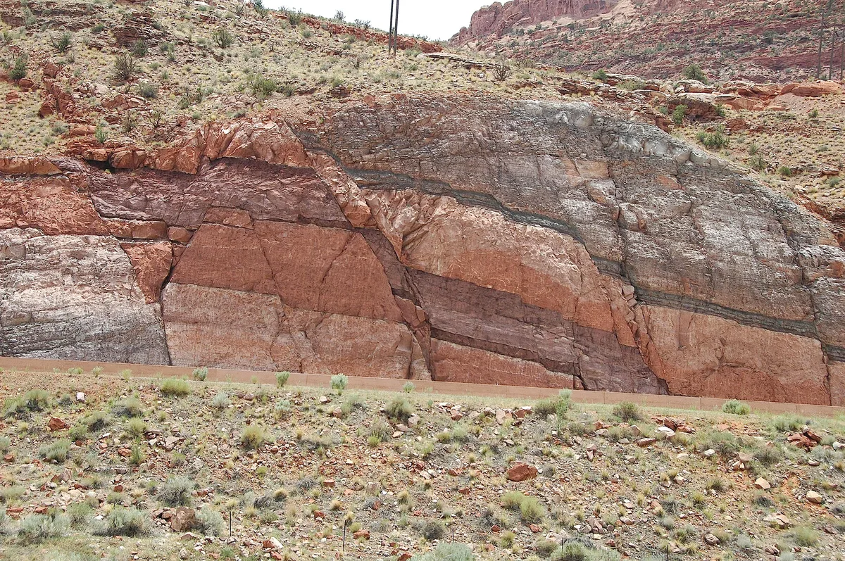 Moab Afternoon Half-Day Rafting Trip on the Colorado River