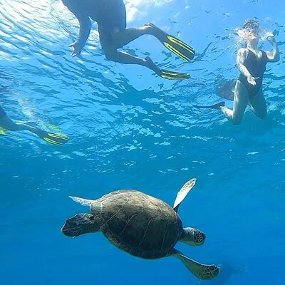 Aguadilla Tropical Snorkeling