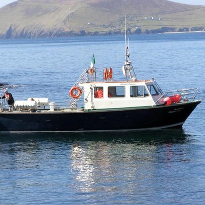 Blasket Islands EcoMarineTours